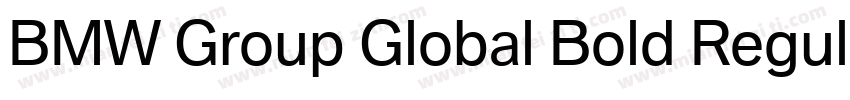 BMW Group Global Bold Regular字体转换